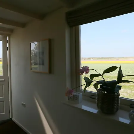 Callantsoog Nyaraló 't Zand