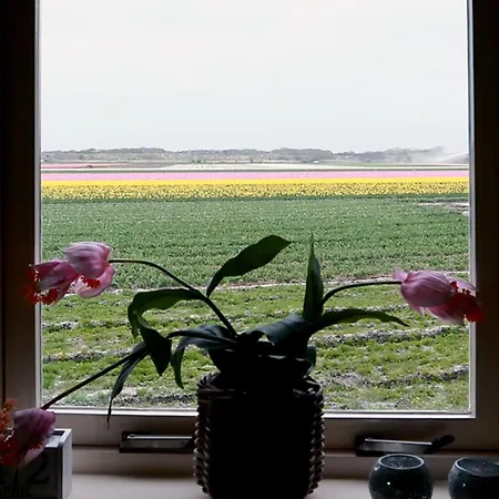 Callantsoog