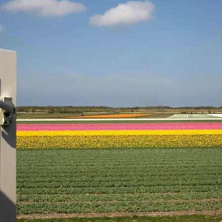 Casa de Férias Callantsoog