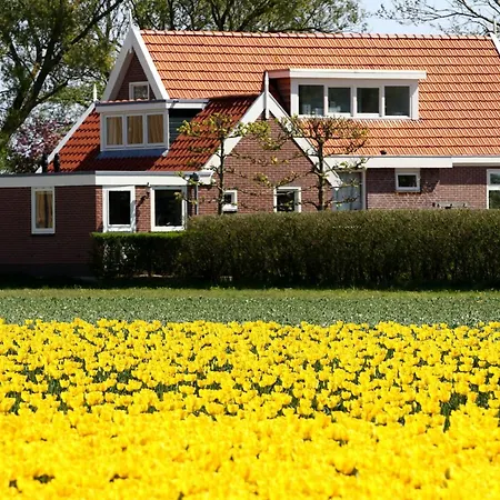 בית נופש Callantsoog ט-זנד