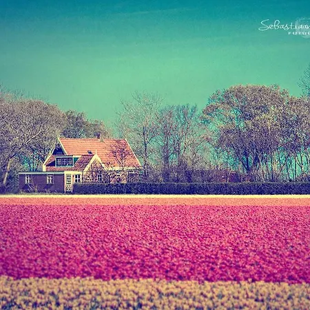 Casa de Férias Callantsoog 't Zand