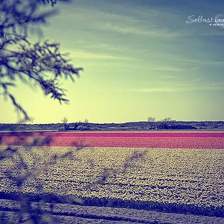Callantsoog Casa de Férias 't Zand