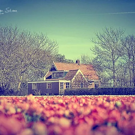 Callantsoog * 't Zand