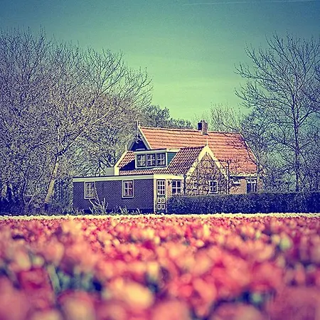 Callantsoog 't Zand