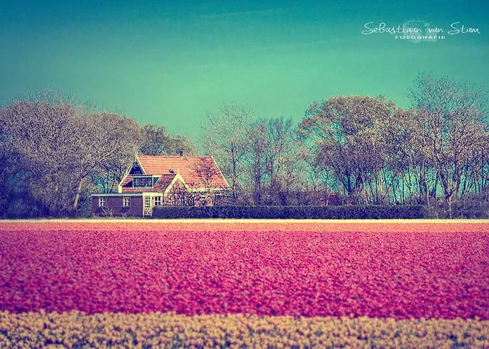 Hébergement de vacances Callantsoog 't Zand