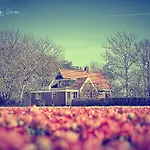 Callantsoog * 't Zand